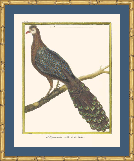 L'Eperonnier Male Framed Print