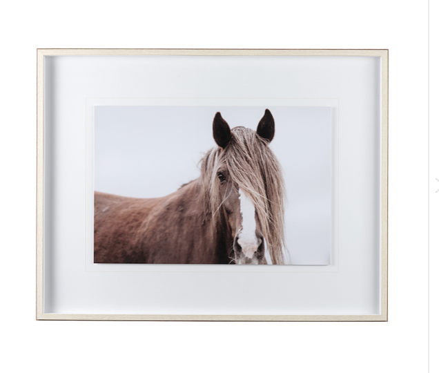 Wild Mane Horse Print - Charmed House Interiors (Kansas City, MO)