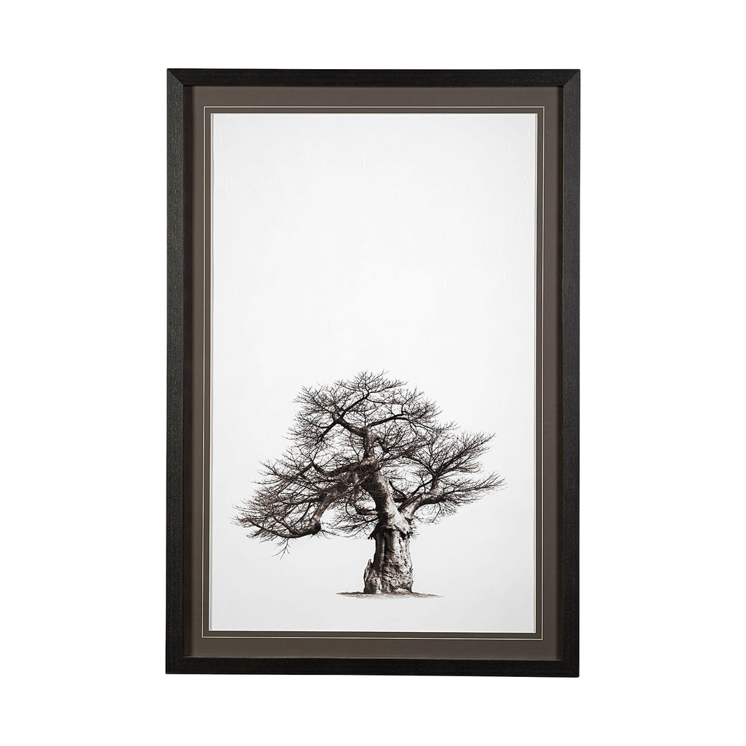 Boabab Tree I Framed Print
